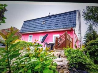 Holiday apartment with dog - Neupetershain - 8