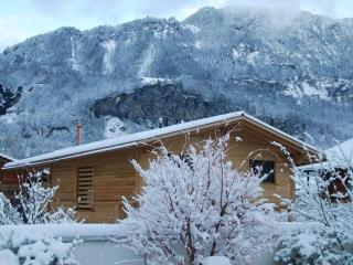 My Chalet Reichenbachfall - 8