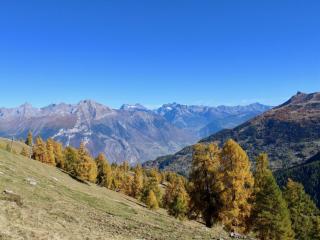 Valley view apartment with paid sauna - Nendaz - 1