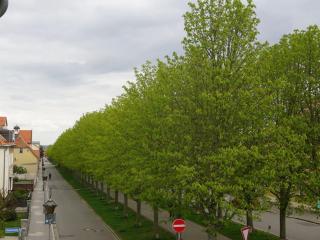 Holiday apartment in Ballenstedt with parking - 9