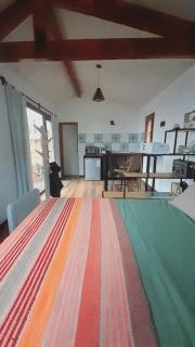 Casa en la Montaña, Casa Chucao - 7