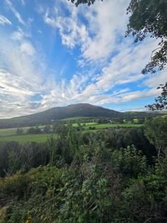 The View - 9
