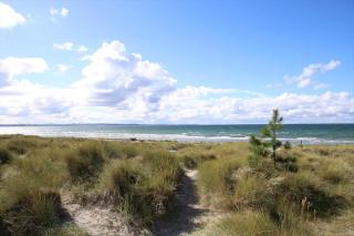 13316-1-Hojby-Lyngtoften-11 - 9