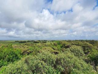 Luxury Retreat in Toftum - By Traum Ferienwohnungen - 2