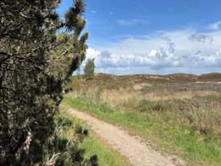 Luxury Retreat in Toftum - By Traum Ferienwohnungen - 3