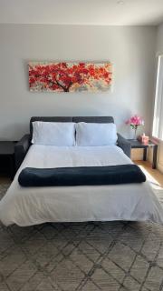 3 Palo Alto - Fully Furnished Apartment - AC, Laundry & Secure Parking - 9