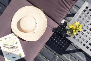 BL1598-Blokhus-Raevestien-2 - 9