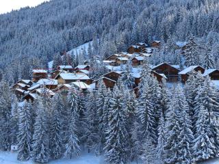 Chalet 3* de Charme à Courchevel – 6 Chambres, 15 Pers., Près des Pistes et Centre de La Tania - FR-1-513-21 - 2