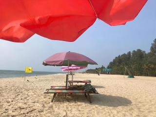 Cozy room in Homestay Alleppey - 6