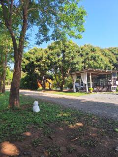 Season to table - Ban Cho Lae - 2
