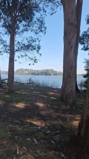 Cómodo departamento frente a Laguna Grande San Pedro de La Paz - Concepción - 3