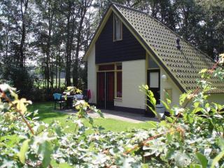 Tranquil Getaway in Dalfsen - 6