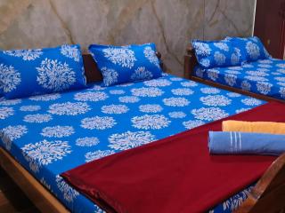 NISHANI ESTATE Homestay - 2