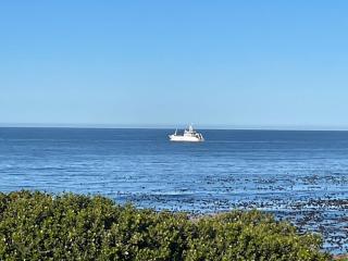 Pitkindie Seaside Escape - Hermanus - 9