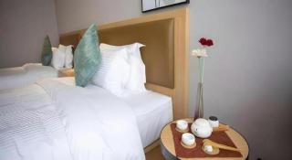 Green Tree Inn Hebei Handan Guantao County Weizheng Road - 8