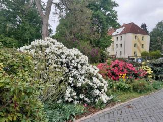 Kutscherhaus Werdau - Werdau - 2
