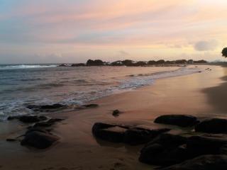 Turtle Point Homestay Seaview 2 - Dikwella - 7