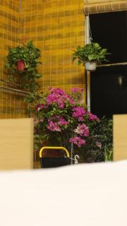 Vietnam Travelers Home 1 with Private Balcony - 7