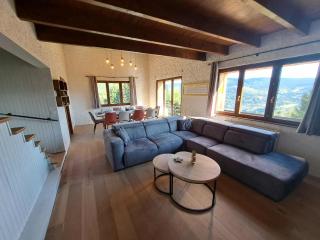 Chalet Le Belvédère, vue exceptionnelle dans les Hautes Vosges - 4