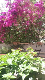 Aelia Apartments - 2