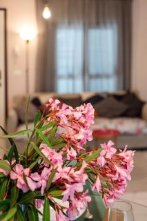 B&B Tra colline marchigiane - sauna e piscina - 7