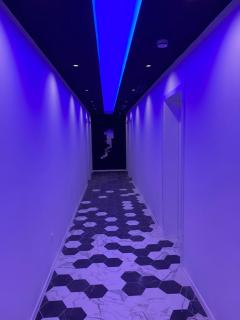 Camellia apartments - 9