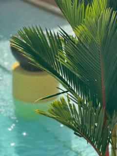 Luxury 2Bed 2bath Poolview apartment with Lift and 4pools - 5