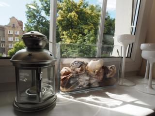 Grand-Tourist Trident Apartments - 1