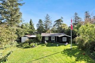 1244-N-Liseleje-Colibristien-2 - 0