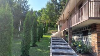 Cottage Green Garden - 6