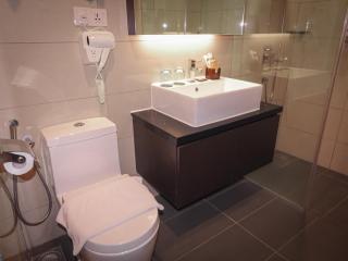 Grand Ion Delemen Plus - 4