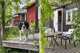 84245-Ebeltoft-Sneppestien-16 - 9