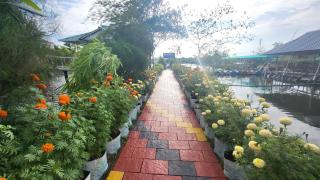 Bell Farms and Resorts - Munroe Island - 3