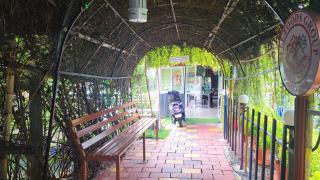 Bell Farms and Resorts - Munroe Island - 4