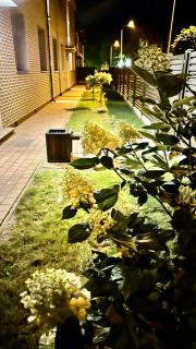 Patio Garden & Sea Home Apartments - 3