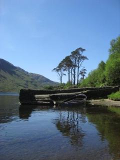 Ponderosa B&B - Louisburgh - 9