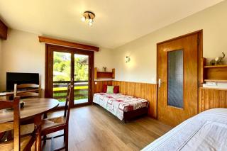 Comfortable studio with a view of the Mont-Blanc - 0