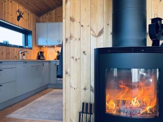 Moderne leilighet i Vestlia-Ski in ski out - 1