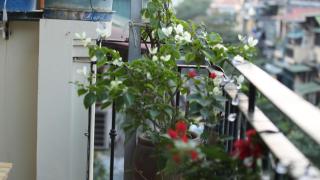 Vietnam Travelers Home 1 with Private Balcony - 4