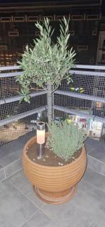 Domus City Apartment with wonderful balcony - Thessaloniki - 2