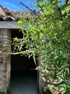 Gite du Chateau - 1