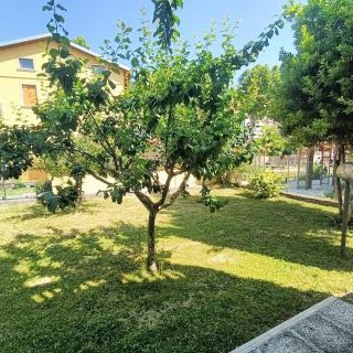 Carpegna Green House - Carpegna - 4