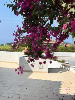 Villa Kore, Capo Vaticano - 7