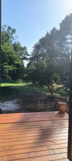 studio au cœur de la forêt - 3