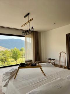Vico Suite - 1