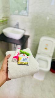 Nahargarh view Hotel - 3