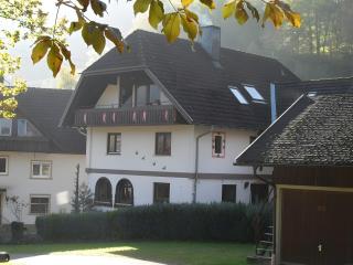 Ferienwohnung Waldblick - 0