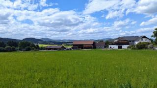 Pferdeparadies Stein - 9