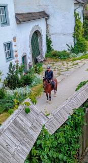 Pferdeparadies Stein - 6