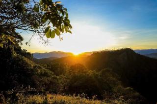 Villa De Sunrise spice garden - 0